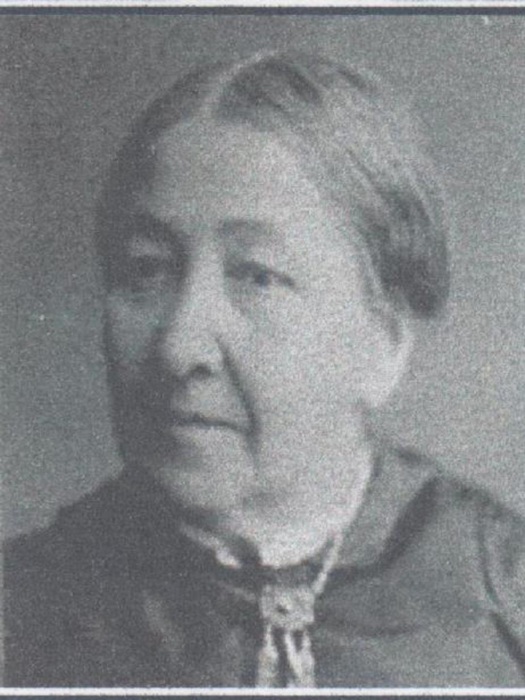 Lavenia Hooper (1814 - 1886) Profile